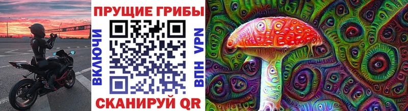 кракен сайт  Каменка  Галлюциногенные грибы прущие грибы 